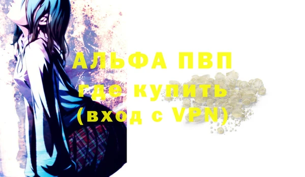 прущие грибы Баксан