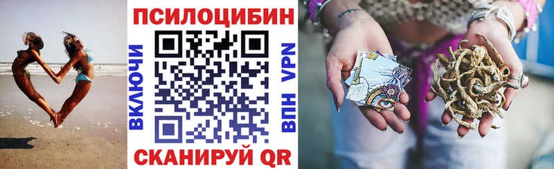 Купить  Тихорецк  Галлюциногенные грибы Psilocybine cubensis 